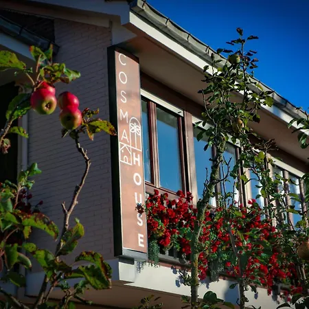 Cosma House-3